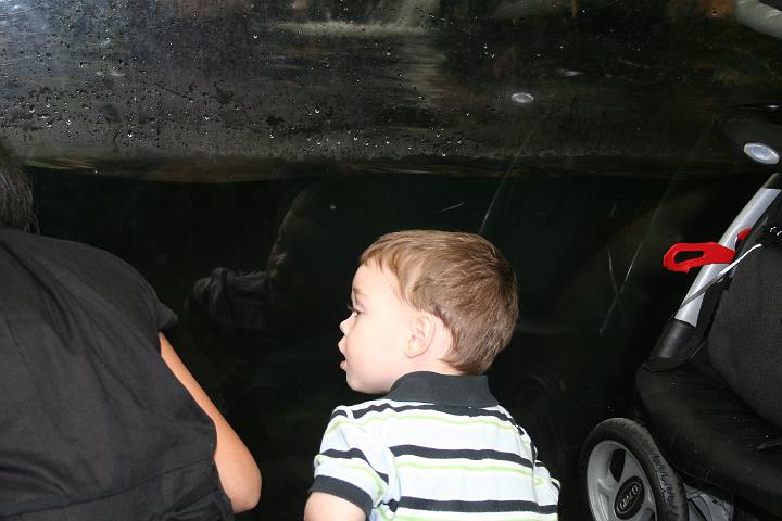 Grant's 2 year birthday033.JPG